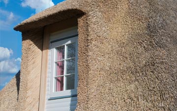 Withybush thatch roof disadvantages